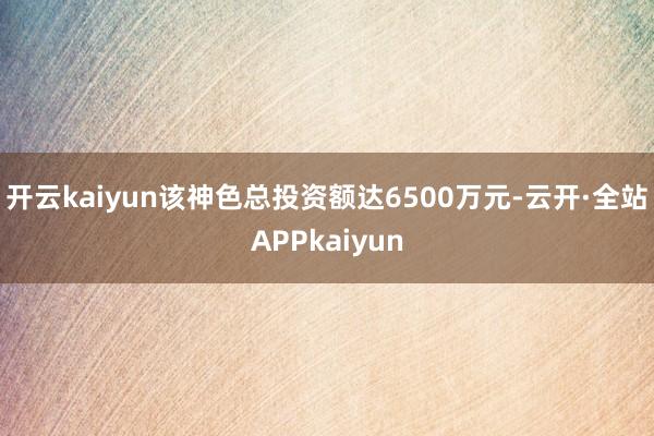 开云kaiyun该神色总投资额达6500万元-云开·全站APPkaiyun