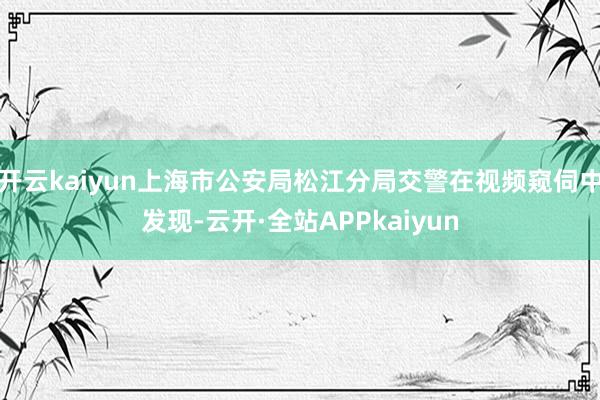 开云kaiyun上海市公安局松江分局交警在视频窥伺中发现-云开·全站APPkaiyun