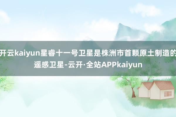 开云kaiyun星睿十一号卫星是株洲市首颗原土制造的遥感卫星-云开·全站APPkaiyun