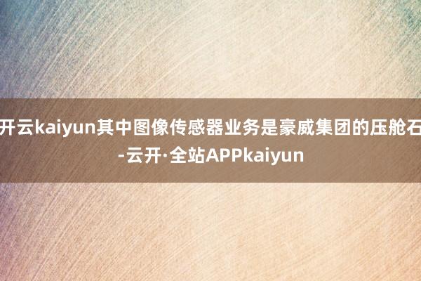 开云kaiyun　　其中图像传感器业务是豪威集团的压舱石-云开·全站APPkaiyun