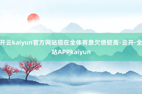 开云kaiyun官方网站现在全体有息欠债较高-云开·全站APPkaiyun