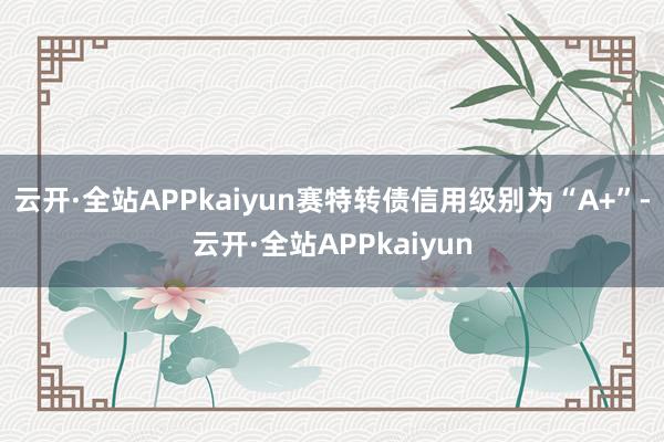 云开·全站APPkaiyun赛特转债信用级别为“A+”-云开·全站APPkaiyun