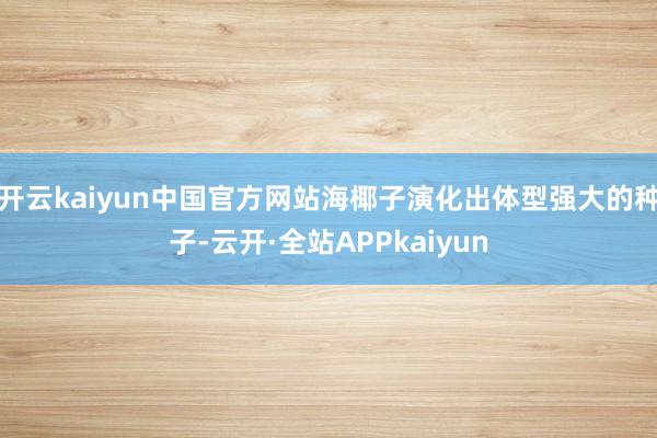 开云kaiyun中国官方网站海椰子演化出体型强大的种子-云开·全站APPkaiyun