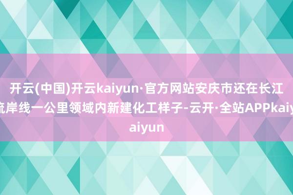 开云(中国)开云kaiyun·官方网站安庆市还在长江干流岸线一公里领域内新建化工样子-云开·全站APPkaiyun