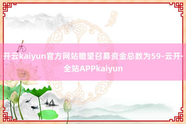 开云kaiyun官方网站瞻望召募资金总数为59-云开·全站APPkaiyun