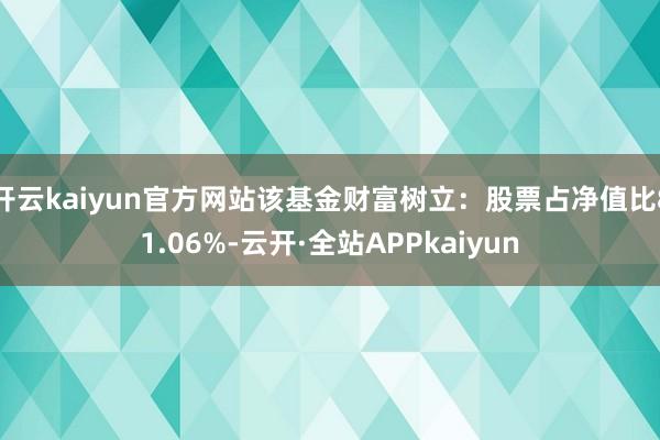 开云kaiyun官方网站该基金财富树立：股票占净值比81.06%-云开·全站APPkaiyun