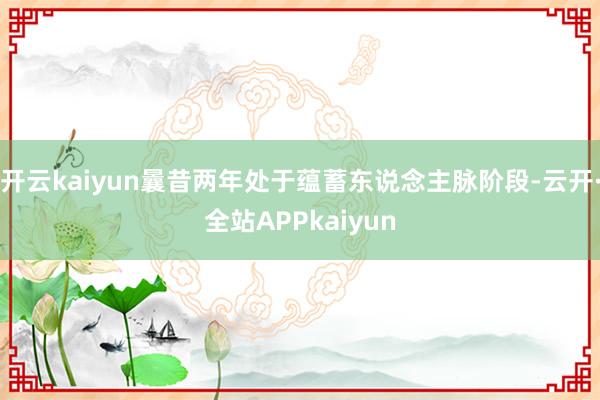 开云kaiyun曩昔两年处于蕴蓄东说念主脉阶段-云开·全站APPkaiyun