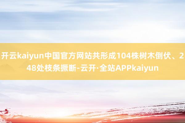 开云kaiyun中国官方网站共形成104株树木倒伏、248处枝条撅断-云开·全站APPkaiyun