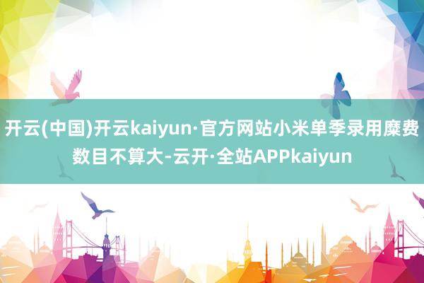 开云(中国)开云kaiyun·官方网站小米单季录用糜费数目不算大-云开·全站APPkaiyun