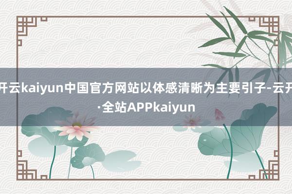 开云kaiyun中国官方网站以体感清晰为主要引子-云开·全站APPkaiyun